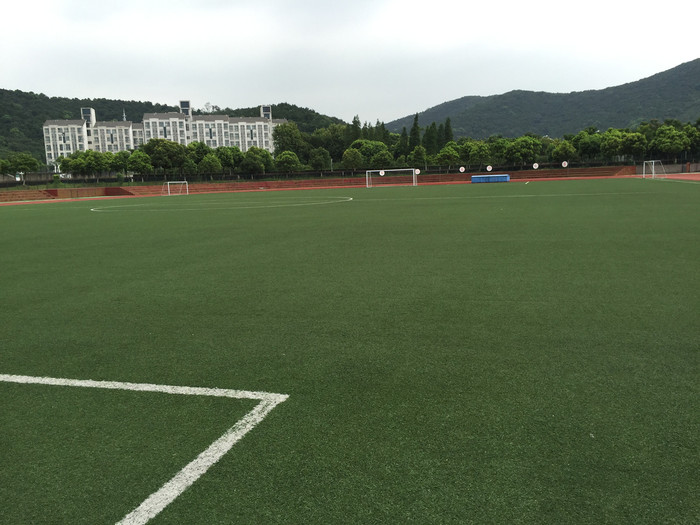 7 people sport football field durable artificial grass