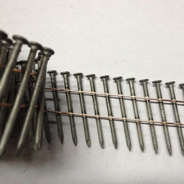 ring screw coil nail